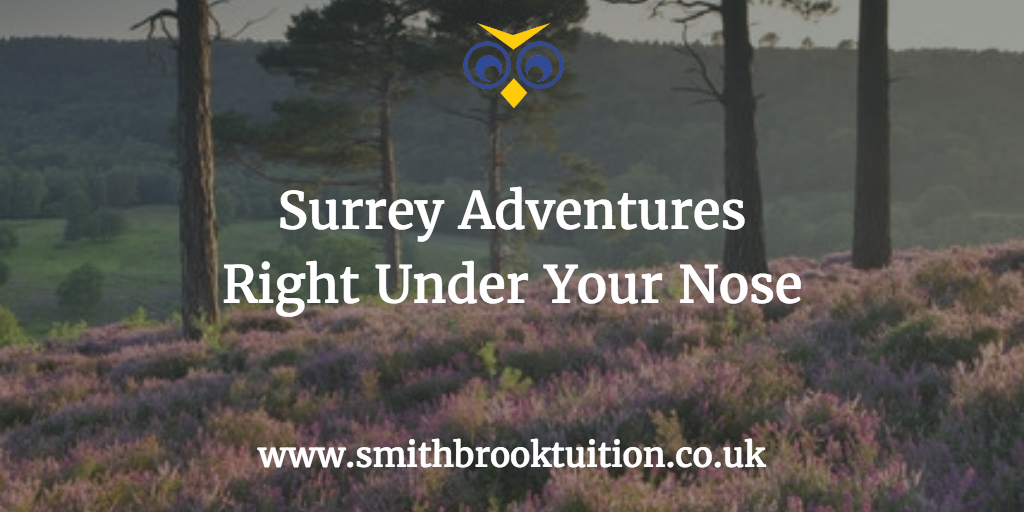 Places to visit in Surrey